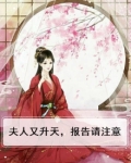 夫人又生我气了