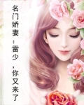 名门娇妻:雷少,你又来了小说