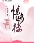 惊鸿楼飞阅读书