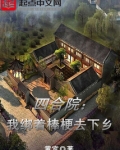 四合院开局把棒梗送监狱
