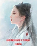 综影视从三生三世开始爱吃肉的猫咪