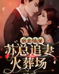 虐妻一时爽追妻火葬场的总裁文