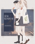 惊鸿转身小说免费阅读