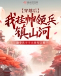 穿越后我挂帅领兵镇山河主要讲的是什么