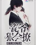 重生国民男神:瓷爷,狠会撩!