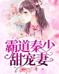 霸道总裁甜宠妻秦宁