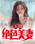 天降绝色美妻