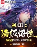 神印:满级悟性,成就全职业最强