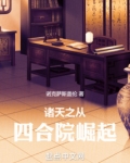 诸天之从四合院崛起诺克萨斯盖伦