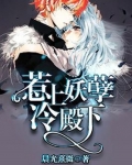 惹上冷殿下