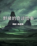 怪事奇谈电视剧