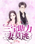 三宝求婚妻莫怪