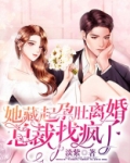 她藏起孕肚离婚，总裁找疯了