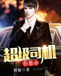 超级司机女主角
