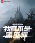 霍格沃茨：我真不是黑巫师