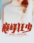 巅峰狂少