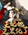 错嫁傻王王妃她又黑化了笔趣阁