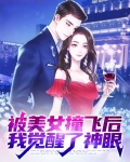 被美女撞飞后,我觉醒了神眼