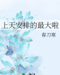 上天安排的最大啦小说