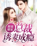 限量婚宠:总裁诱妻成瘾