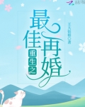 重生之最佳再婚