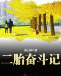 二胎奋斗记 湖心柳
