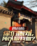 四合院一万一套你们还嫌贵小说