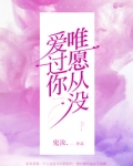 唯愿从没爱过你全文免费阅读无弹窗