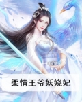柔情王爷妖娆妃
