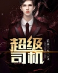 超级司机电视剧免费观看全集高清