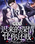 傅先生，迟来的深情比你还贱