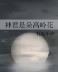 神君是朵高岭花书包