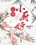 京华小厨娘 锦理圆宝