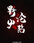 野火小说阅读