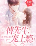 盛世隐婚：傅先生，宠上瘾