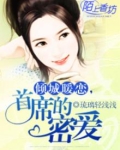 倾城婚恋,首席的秘密 小说