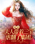 凌爷你的三胞胎要上天小说