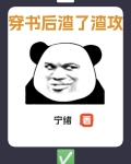 《穿书后我渣了渣攻》