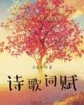 诗歌词赋盲盒隐藏款