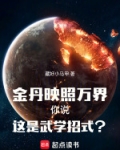 金丹映照万界,你说这是武学招式?
