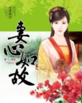 妻心如故 在线阅读