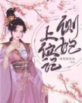 侧妃上位记