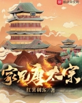 家兄唐太宗小说