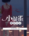 小雏的观察日记