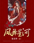 凤舞星河小说