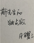斯先生的独占欲