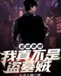 全球震惊!我真不是盗墓贼