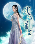 武碎星空