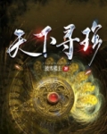 天下寻珍TXT
