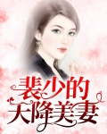 男主叫裴少辰的小说